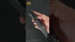 WE Banter Wharncliffe Folding Knife