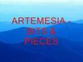 Artemesia  bits  pieces