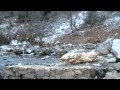 Aygırdibi Aralık 2011 Video