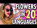 Flowers  miley cyrus  1 girl 20 languages multilanguage cover