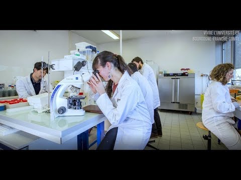 Bienvenue à Université Bourgogne Franche-Comté