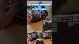 Live Synths as Instrumental Performance and as Musical Curation