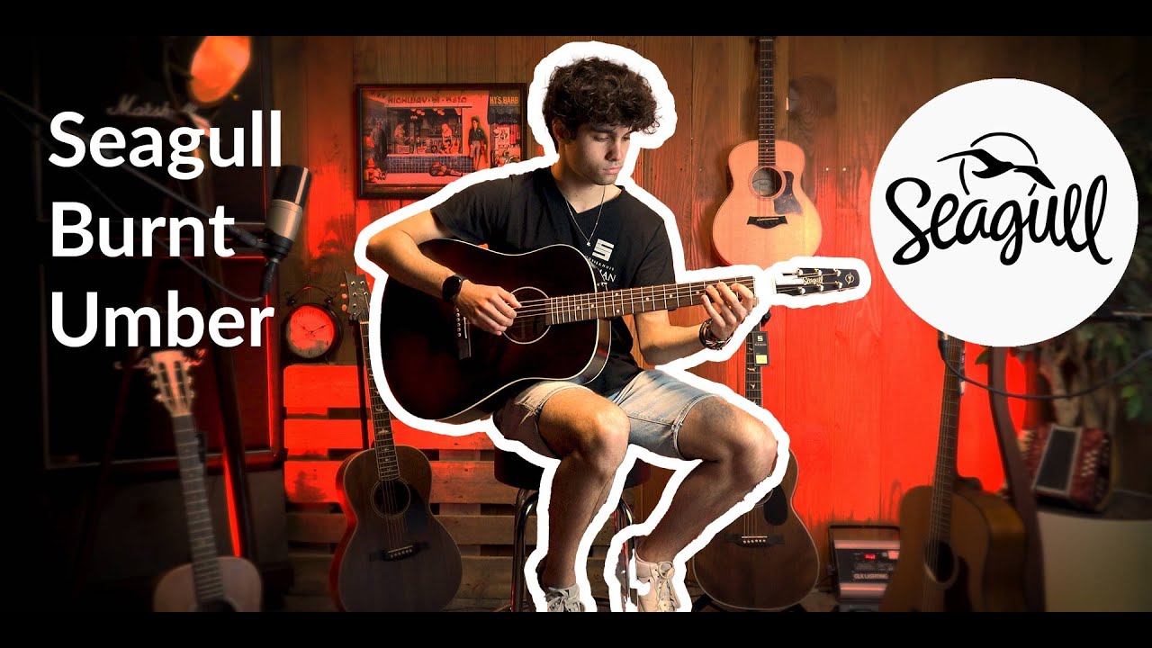 Seagull S6 Original Burnt Umber Q1T DEMO | Muziekhuis Souman - YouTube