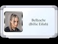 Billie Eilish - Bellyache (Lyric Video)