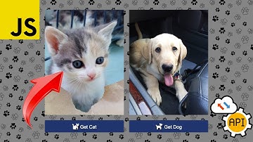 🎬JavaScript Fetch API - Easy Example🙌