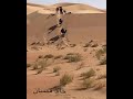 الشاعر خالد همسان شف بالي شوف حمرن على نبت الفياض مانزلنا منزلن كون لي هي به رضت الشاعر خالد همسان شف بالي شوف حمرن على نبت الفياض مانزلنا منزلن كون لي هي به رضت