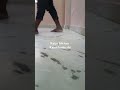 @aakashkumar46#youtubeshortsvideos#how make your floor marble polish#any information please msg m#