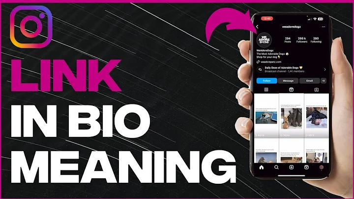 What Does Link In Bio Mean On Instagram? - Full Guide (latest update)