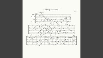 String Quarcat no.5 (Gypsy)