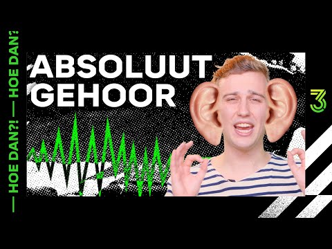 Video: Wat is een loonrecord?