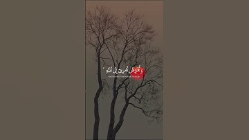 سورة غافر تلاوة جميلة للقارئ مشاري راشد العفاسي #اكسبلور #دويتو #حالات_واتس