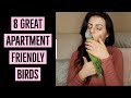 8 Great Apartment Friendly Birds | PARRONT TIP TUESDAY