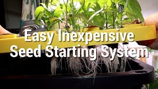 How to make a hydroponic seed starting system cheap and easy