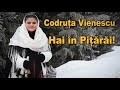 Codruta Vienescu - Hai in Pitarai ! (NOU)