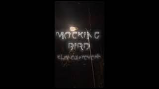 Mockingbird only good part (slowed reverb)