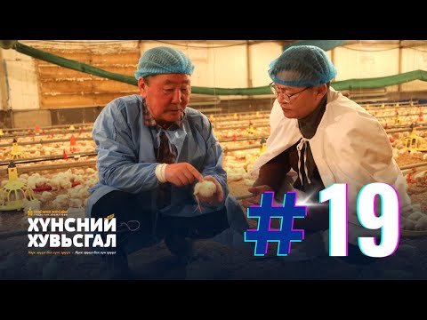 Хүнсний хувьсгал №19 | "Оргио" брэнд Монголдоо өсгөсөн тахианы мах, махан бүтээгдэхүүнээр хүн амын