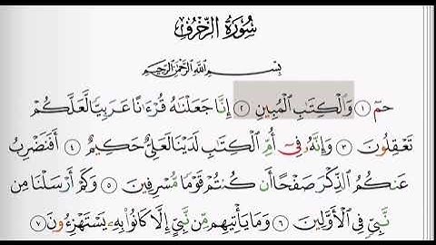 (43) سورة الزخرف | شيخ الزين محمد احمد