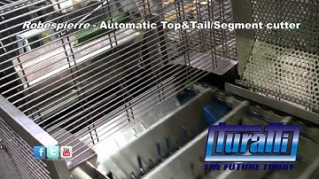 Automatic top and tail - segment cutter - Robespierre  by Turatti