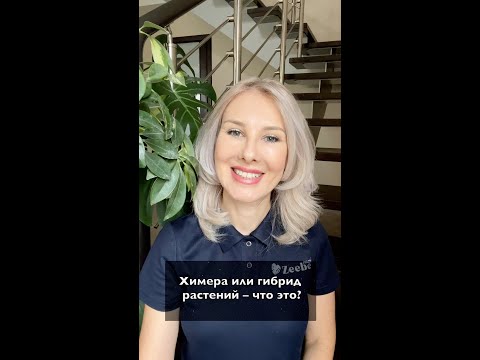 Video: Эмне үчүн Мутагендер үчүн Ames тести канцерогендерди MCAT текшерүү үчүн колдонулат?