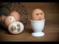 Egghead Compilation | Ep. 789