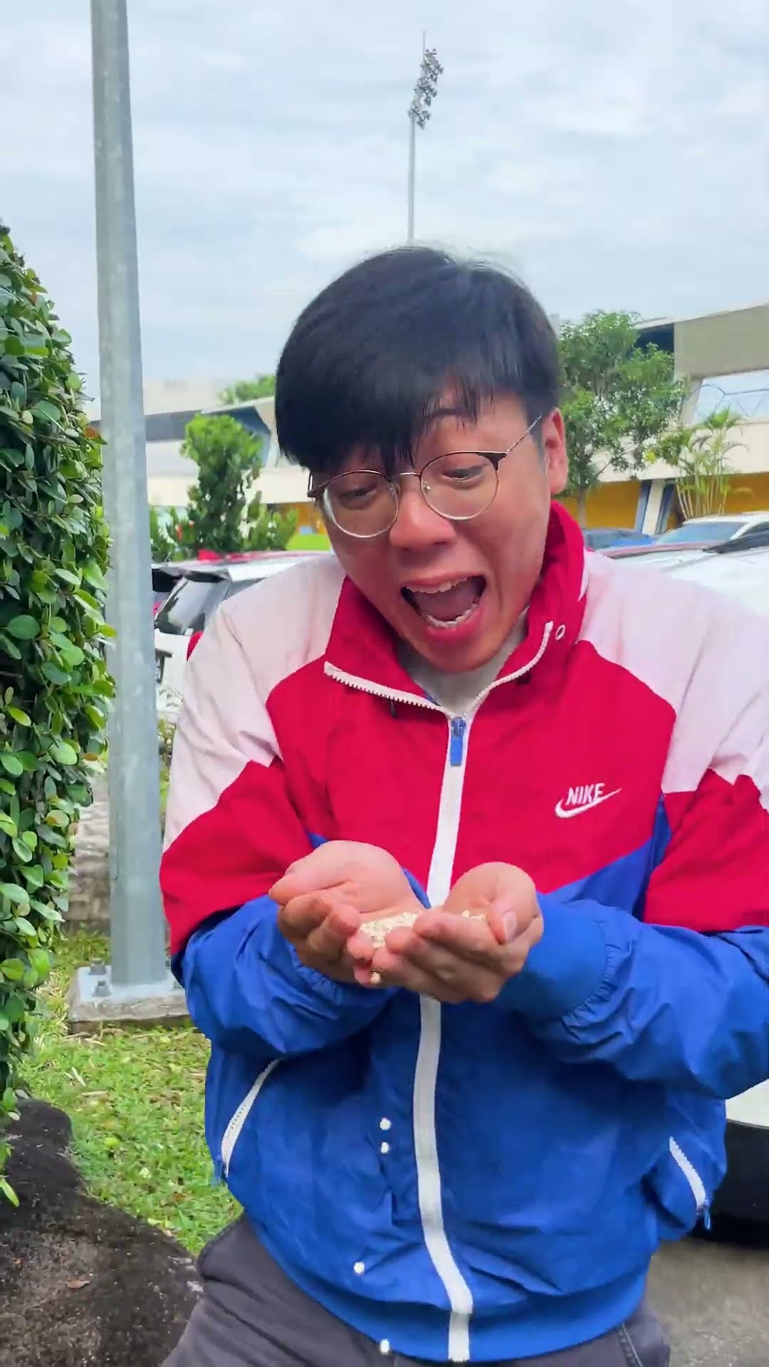 The FASTEST way to MAKE BARLEY JUICE! #shorts #mingweirocks