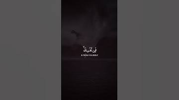 سورة النساء | القارئ خالد الجليل