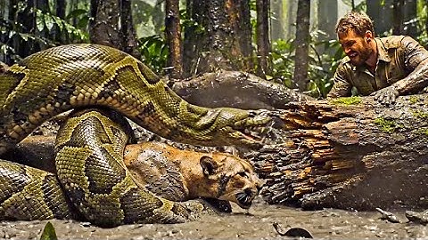 Mother Leopard Attacked by Giant Python - Most Dramatic Rescue Mission 🐆