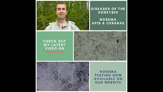 Download Lagu Nosema - A Practical Guide to Diagnosis and Control S1:E3 MP3