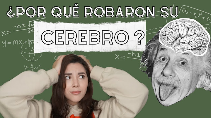 QUIÉN ROBÓ EL CEREBRO DE EINSTEIN? | Scaar DM