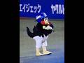 【かわいいつば九郎に癒されよう】くうちゅうくるりんぱが終わったあとのつば九郎がめちゃかわいい件 #shorts #つば九郎