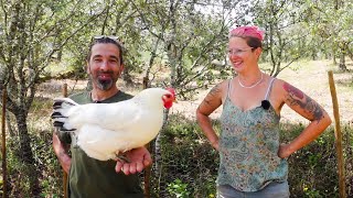 EPIC Chicken Coop TOUR &amp; SNATCH chicken style - Off Grid In Central Portugal