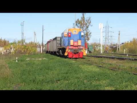 ТЭМ2-7772 за маневровой