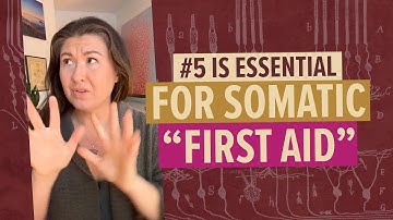 Is Your Nervous System Stuck in Survival Mode? The 5 Basics You Need to Start Healing