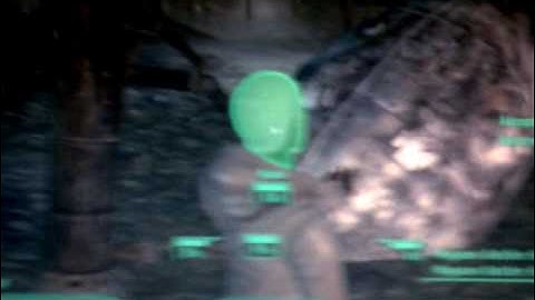 Fallout 3 on an Nvidia GeForce 9200 !!!