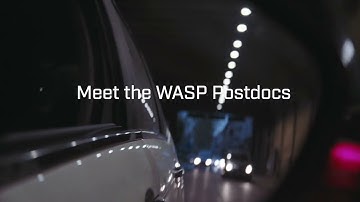 Meet the WASP Postdocs - Pouria Tajvar