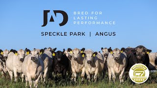 JAD Promo Video for BEEF Australia 2024, Rockhampton, QLD. May 5-11