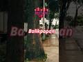 Wanita (38 tahun), Balikpapan, S1, Karyawan Swasta