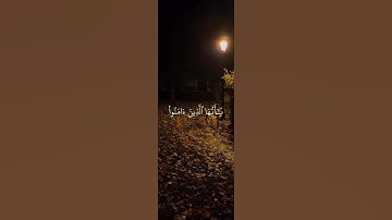 استمع الى القرآن الكريم #اكسبلور #المصحف #لايك #راحة_نفسية #القزابري