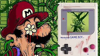 SCARIEST MARIO LAND.EXE I'VE EVER SEEN