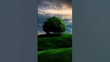 الشيخ محمد أيوب //يثبت الله الذين آمنوا بالقول الثابت في الحياة الدنيا وفي الآخرة  {#سورة إبراهيم}