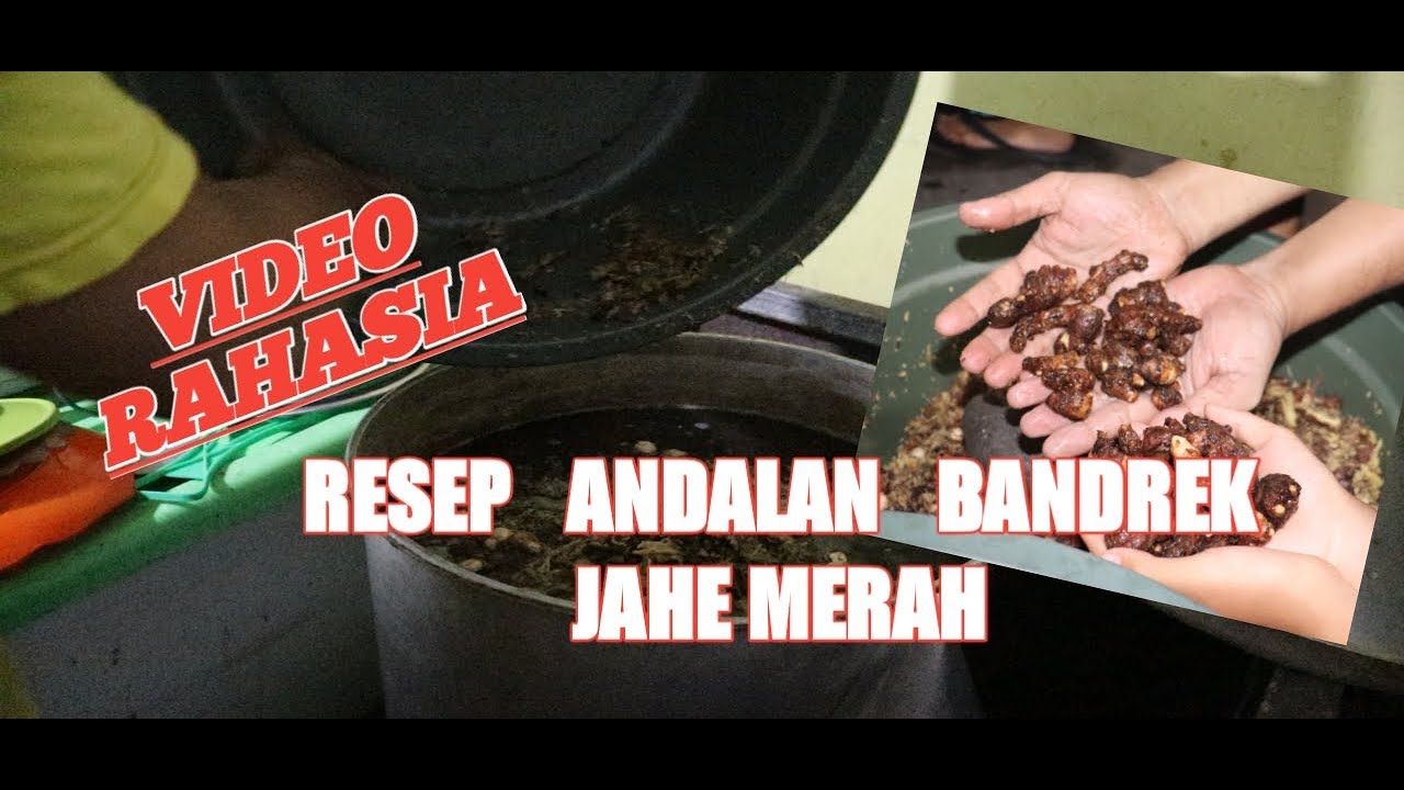 INI BARU BANDREK 100% ORIGINAL JAHE MERAH ASLI