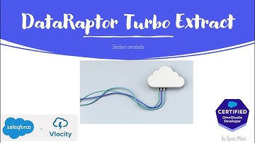 DataRaptor Turbo Extract |  Omnistudio Developer