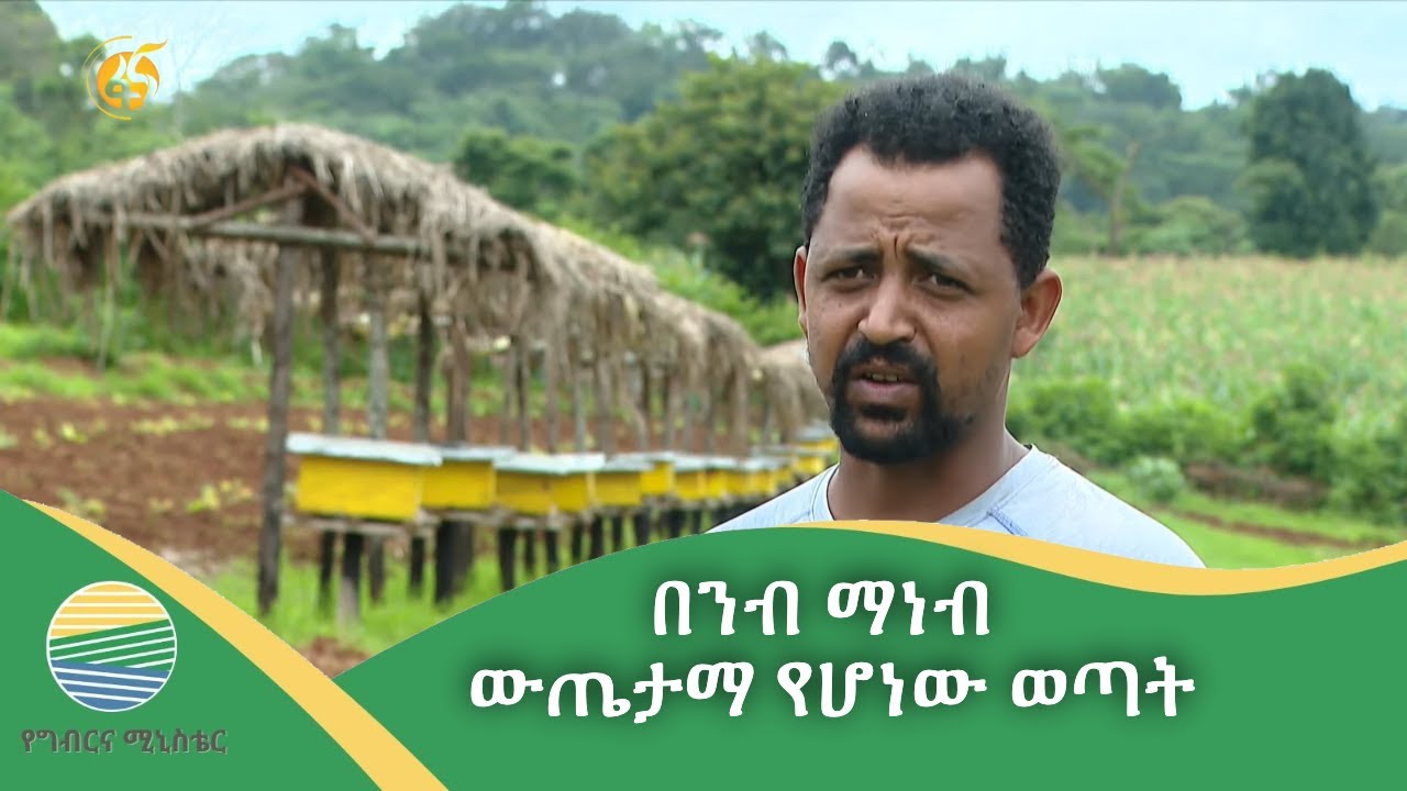 በንብ ማነብ ውጤታማ የሆነው ወጣት