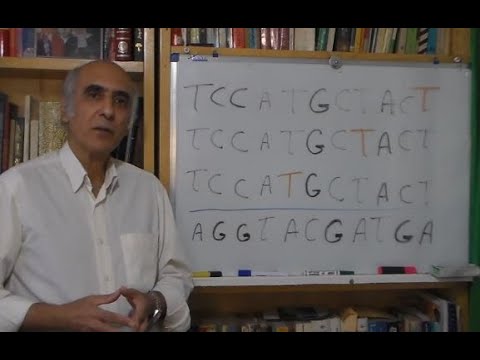 تصویری: ژنتیک شما در مورد شما چه می گوید؟