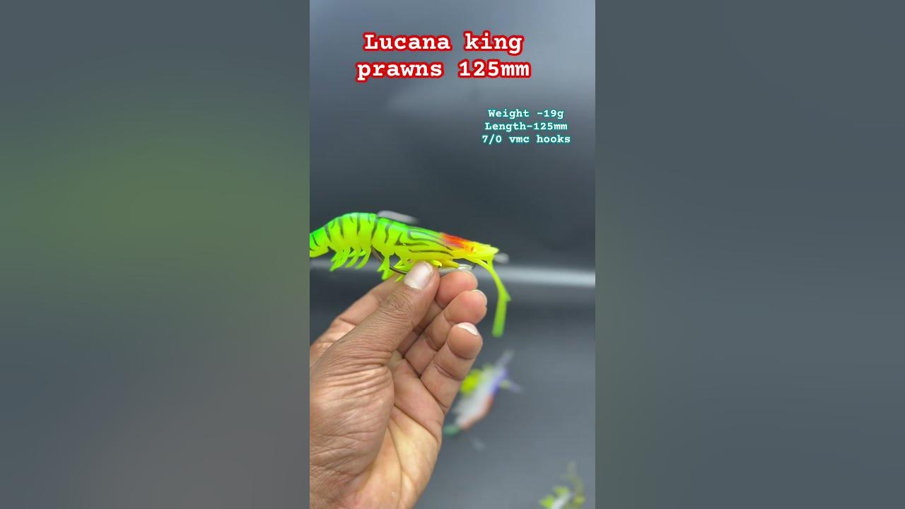 Lucana king prawns now available in stocks - 125 mm / 19 g , slow sinking  #fishingrods #fishing 