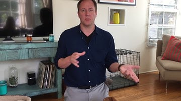 Blocking Moose From Cornering Guests