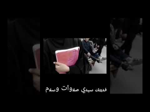ياحبيبي ياشفيعي يارسول الله  ستوريات انستا تيك توك