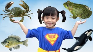 Trò Chơi Đi Săn Và Học Tên Các Con Vật ❤ AnAn ToysReview TV ❤ screenshot 2