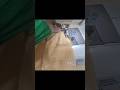 #how to do piko#साड़ी पिको#fashion #trending#viral #newsong