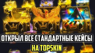 ОТКРЫЛ ВСЕ СТАНДАРТНЫЕ КЕЙСЫ НА TOPSKIN! ПОЙМАЛ ЗАНОС? ПРОМОКОД +30% 40GABE